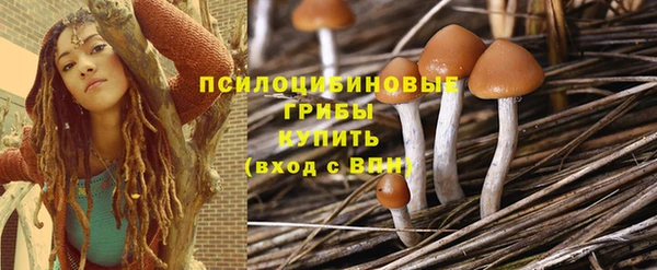 МДПВ Алагир