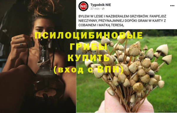 кокаин колумбия Михайловка