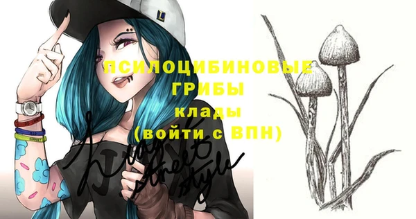 первитин Козловка