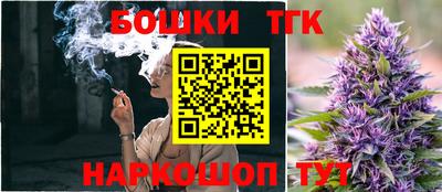 мдпв Кингисепп