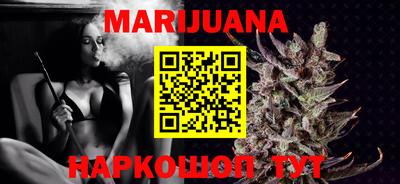 мдпв Кингисепп