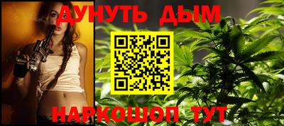 мдпв Кингисепп