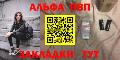 мдпв Кингисепп