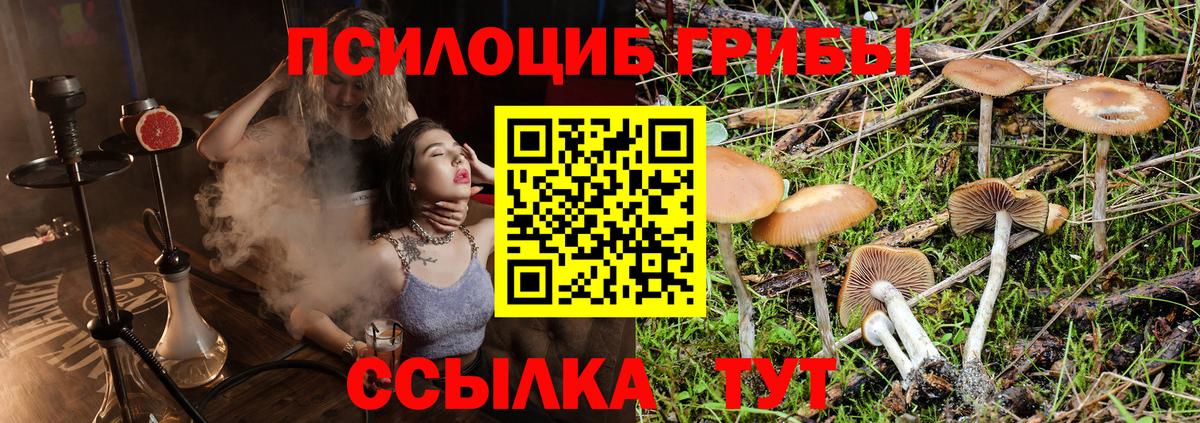 Галлюциногенные грибы мицелий Кузнецк