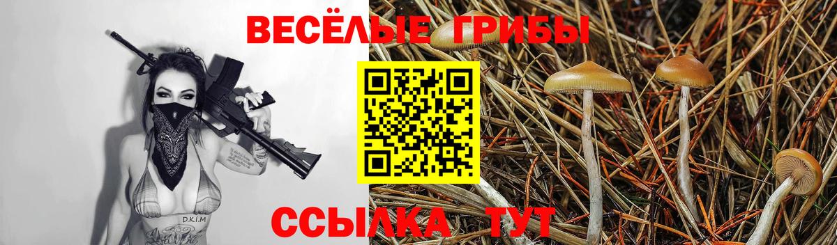 Галлюциногенные грибы мухоморы  Вход с VPN  Кузнецк 